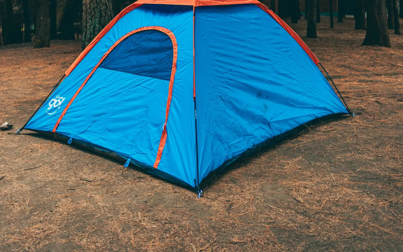 Casa de campaña azul con naranja instalada sobre hojarasca en un bosque de pinos