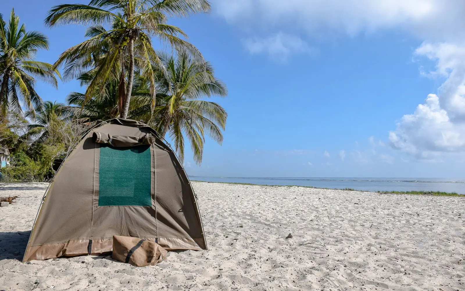Casa de campaña verde instalada sobre arena blanca bajo palmeras frente al mar