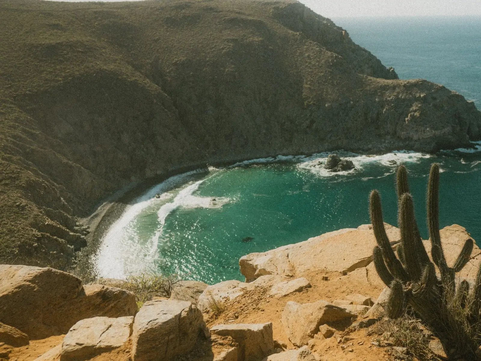Cardón junto a rocas sobre una caleta de agua turquesa en la costa de Baja California